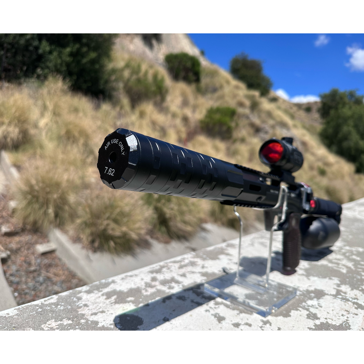 Edgun Leshiy 2 Wolverine short .25 Pre-owned