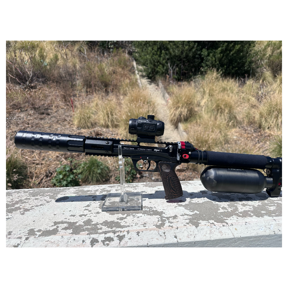 Edgun Leshiy 2 Wolverine short .25 Pre-owned