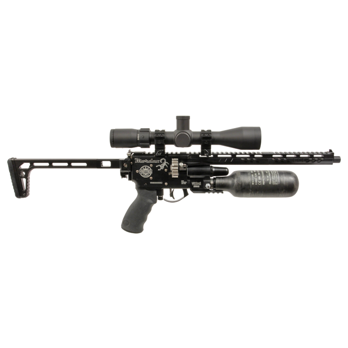 Western Mordax Long Strike