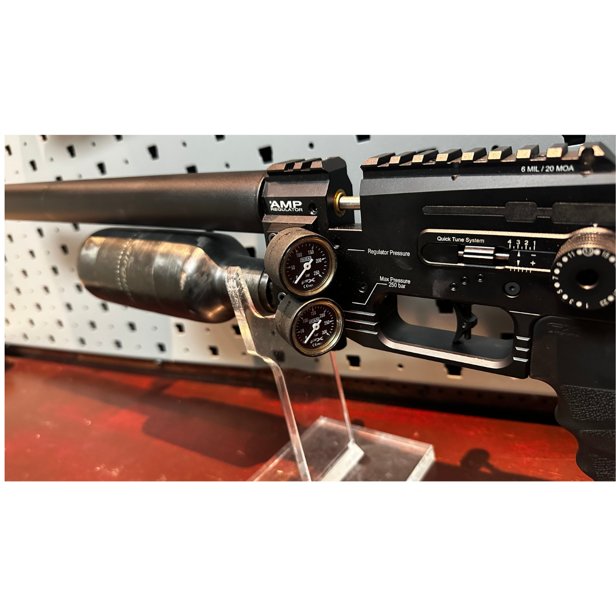 FX Panthera Hunter .25 caliber