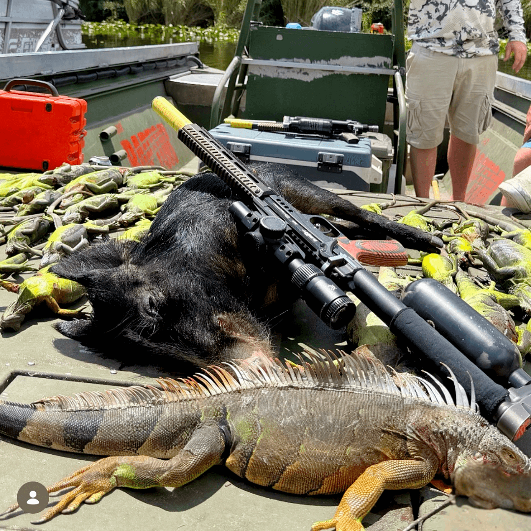 Best Airgun for Iguana Hunting - EDgun Leshiy 2 - Python Cowboy