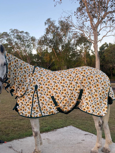 SUNFLOWER FULL COTTON COMBO