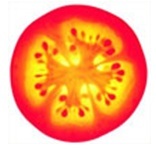 power of fruit amp; veg