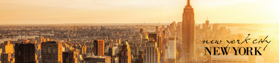 new-york-header
