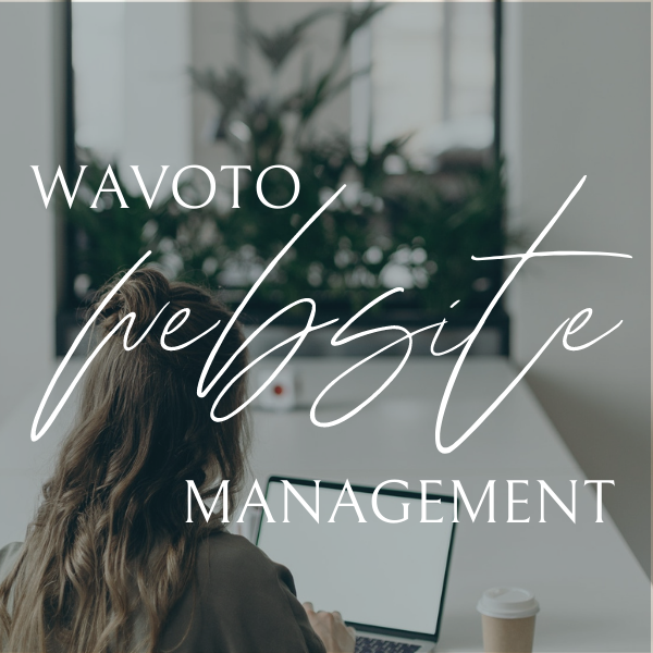 Wavoto Website Management
