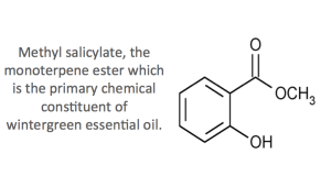 Methyl Salicylate