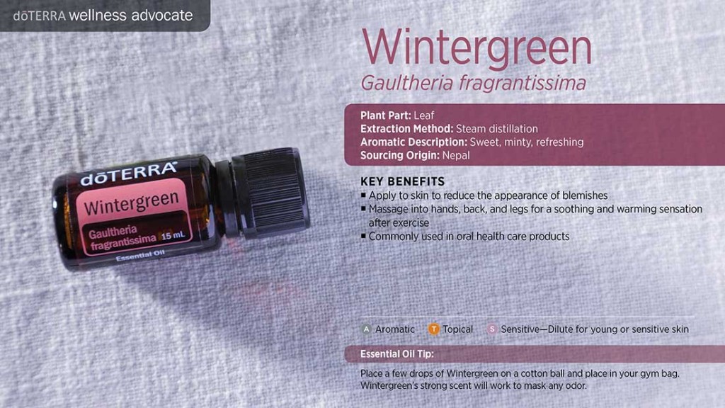doTERRA Wintergreen