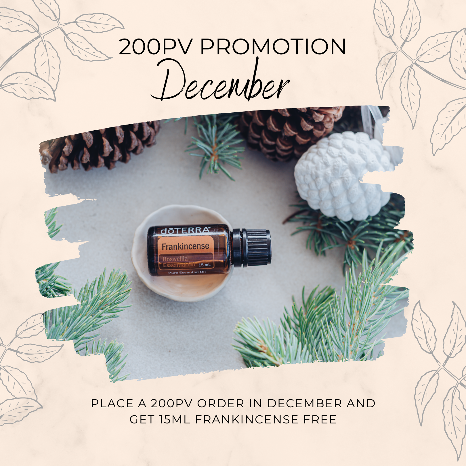 200 PV Promotion - Frankicense