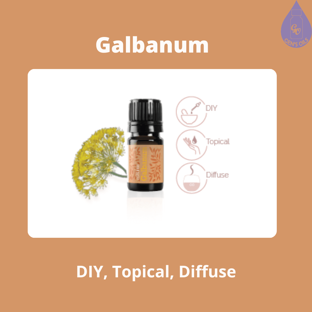 Galbanum essential oil with the plant beside it.