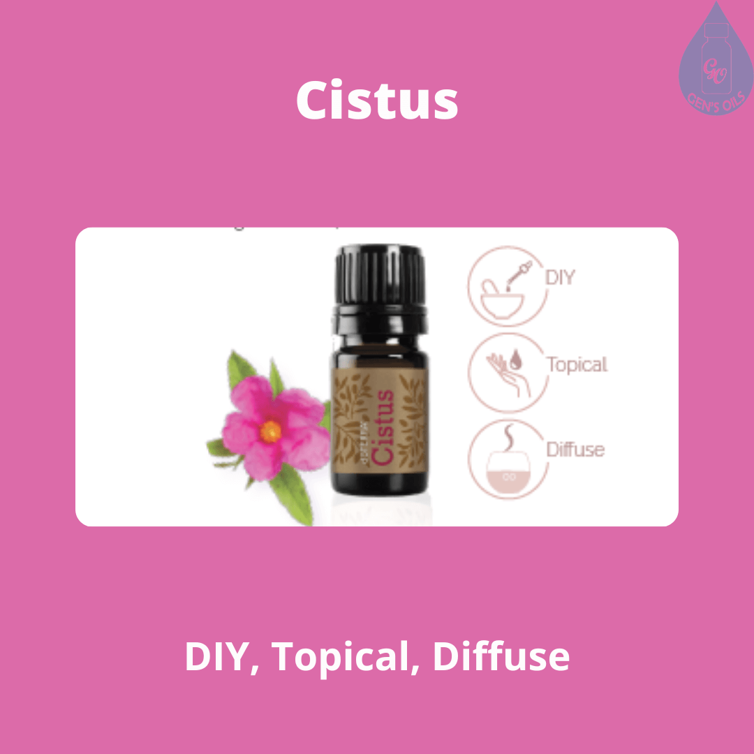 Cistus essential oil with the flower beside it.