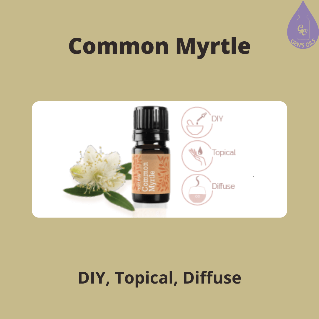 Common Myrtle essential oil with the plant beside it.