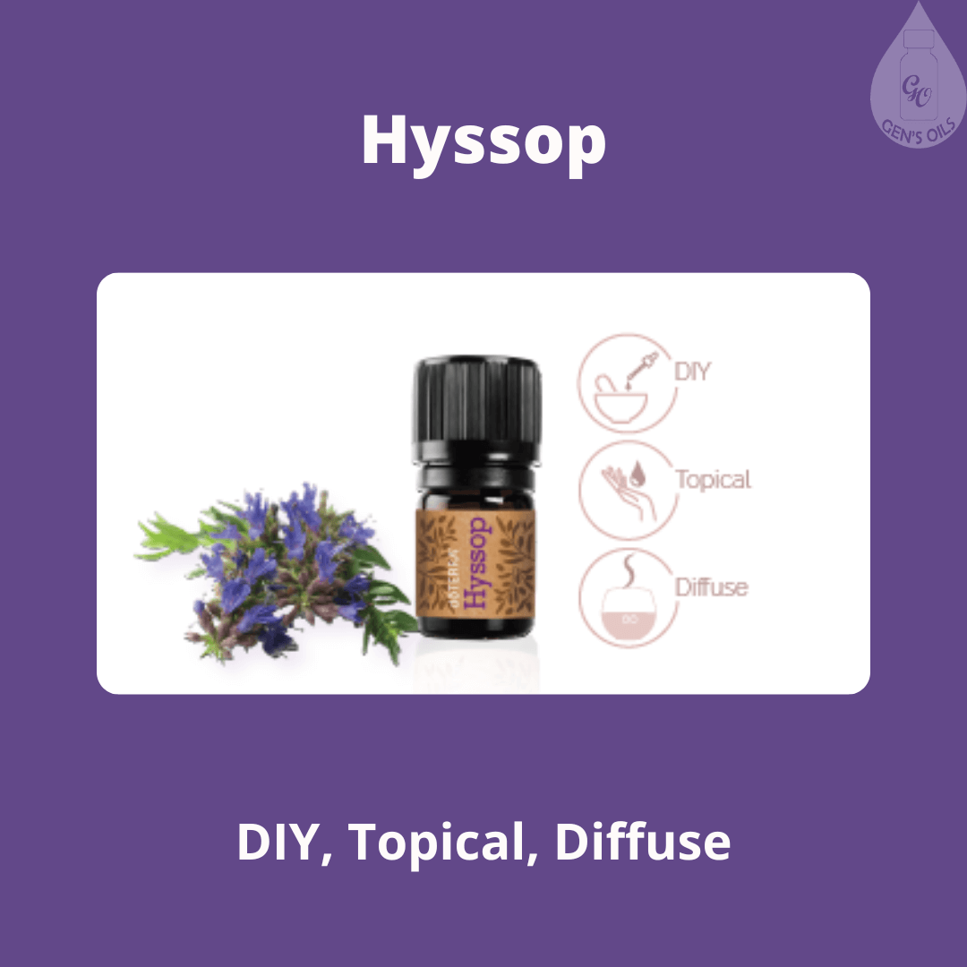 Hyssop essential oil with the plant beside it.