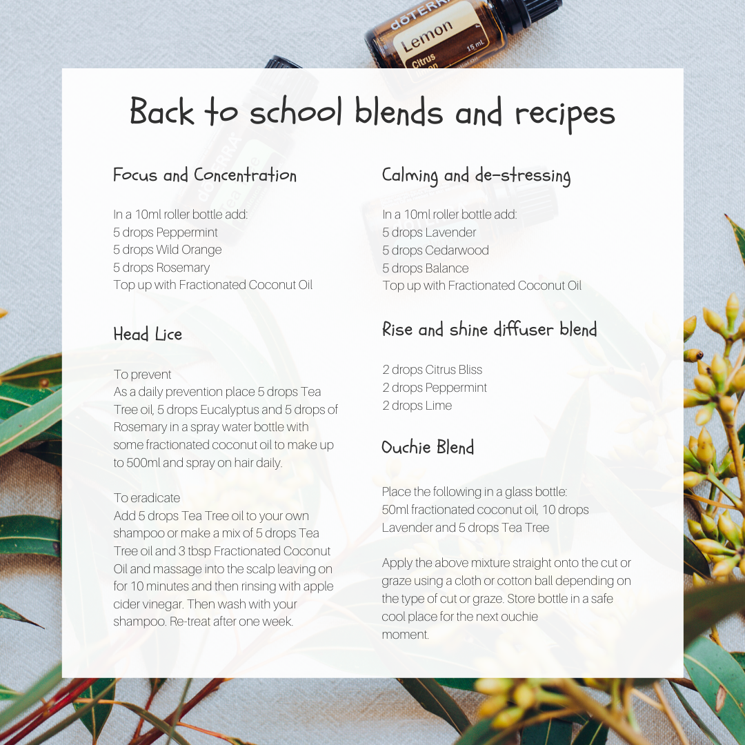 Back to school blends & recipes