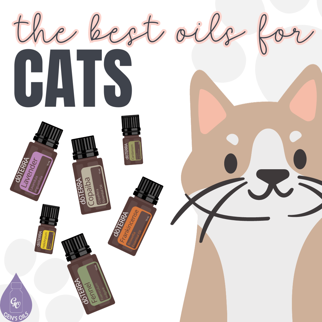 Best Oils for Cats