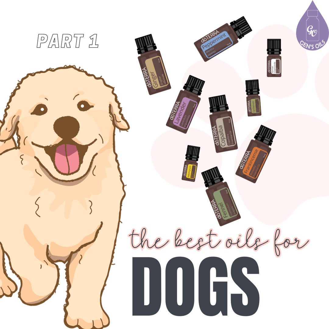 Best Oils for Dogs - Part 1