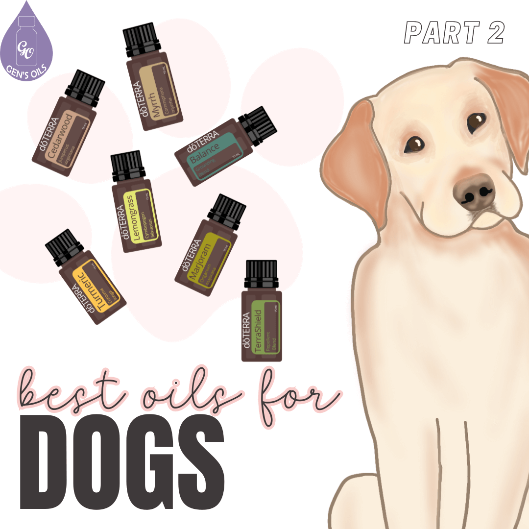 Best Oils for Dogs - Part 2