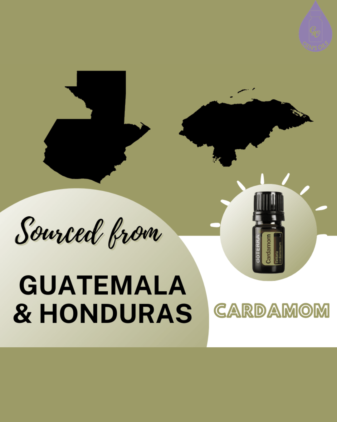 Cardamom essential oil sourced from Guatemala and Honduras, as depicted by maps of the countries and a bottle of doTERRA Cardamom oil.
