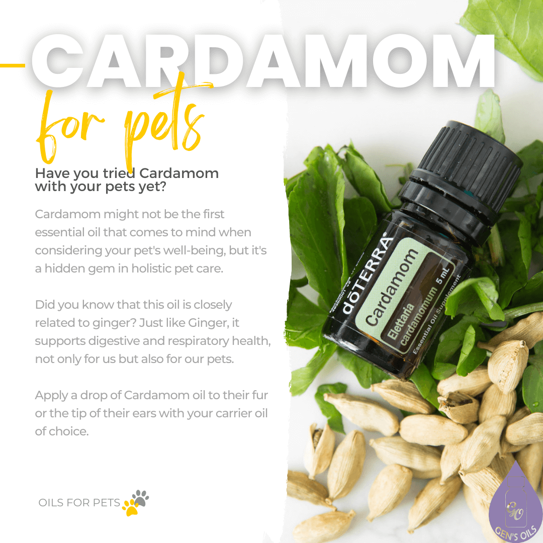 Cardamon for pets