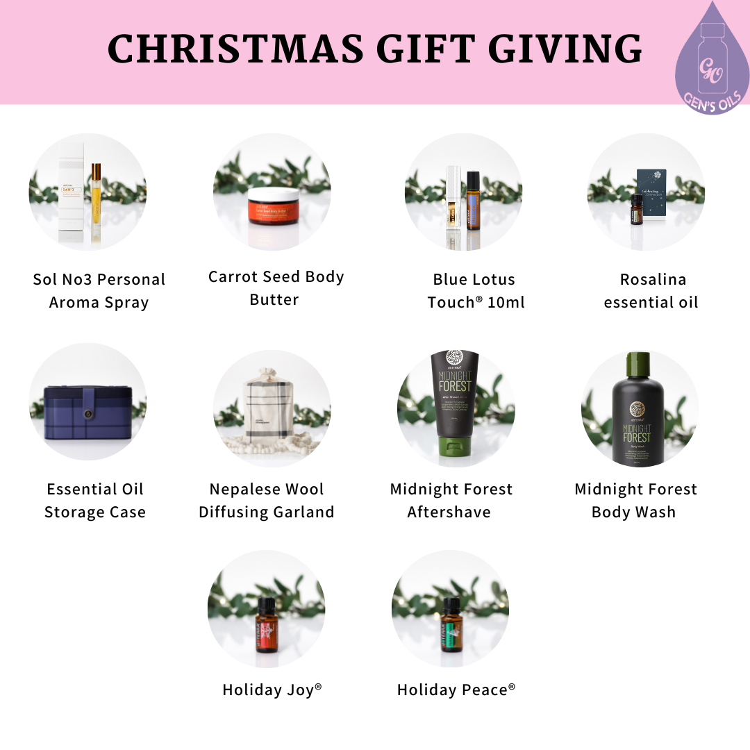 Individual products from the Christmas Gift Giving Guide.