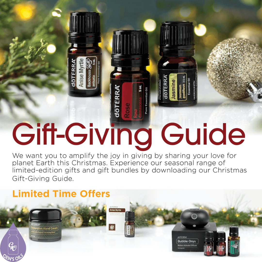 Christmas Gift Giving Guide