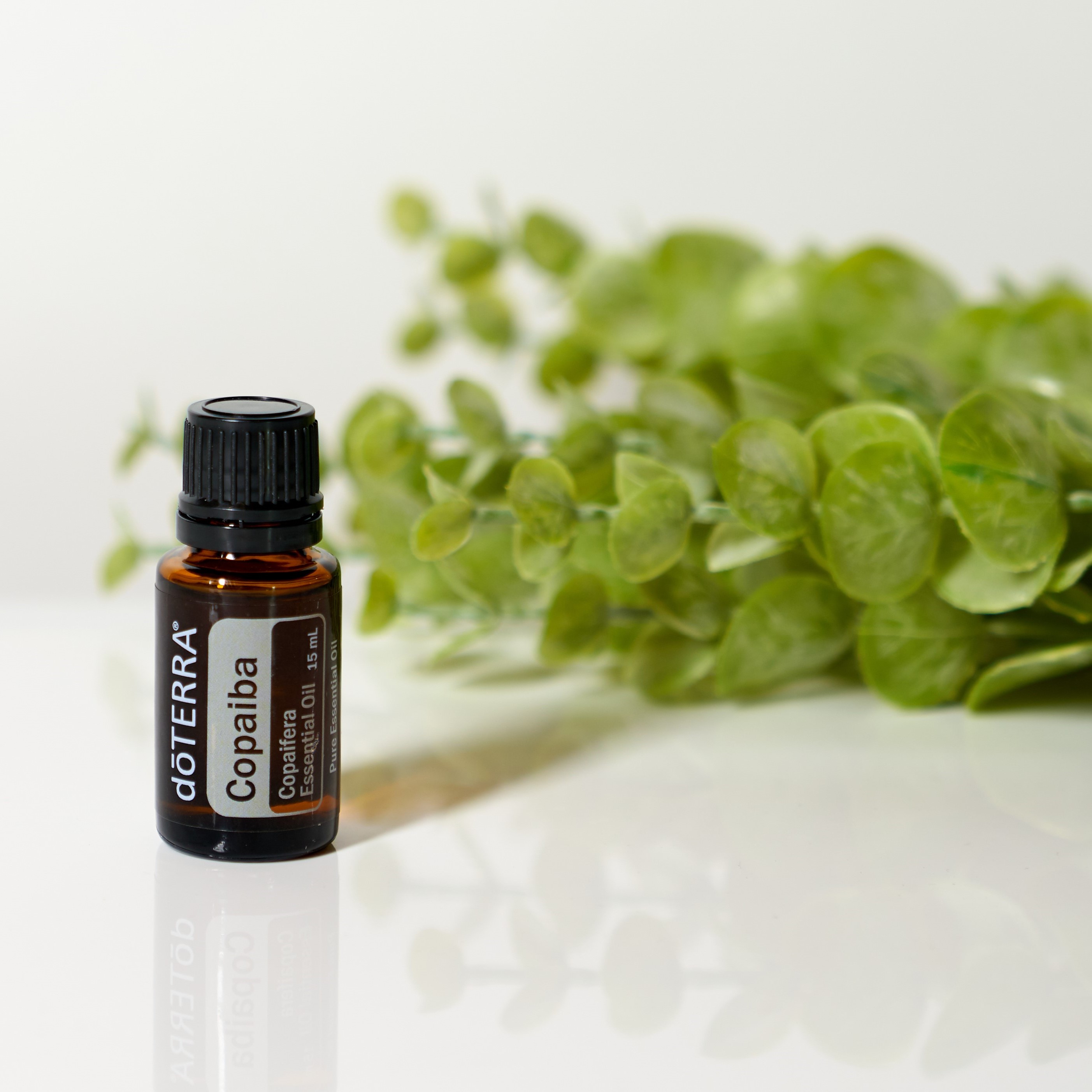 Copaiba Essential Oil