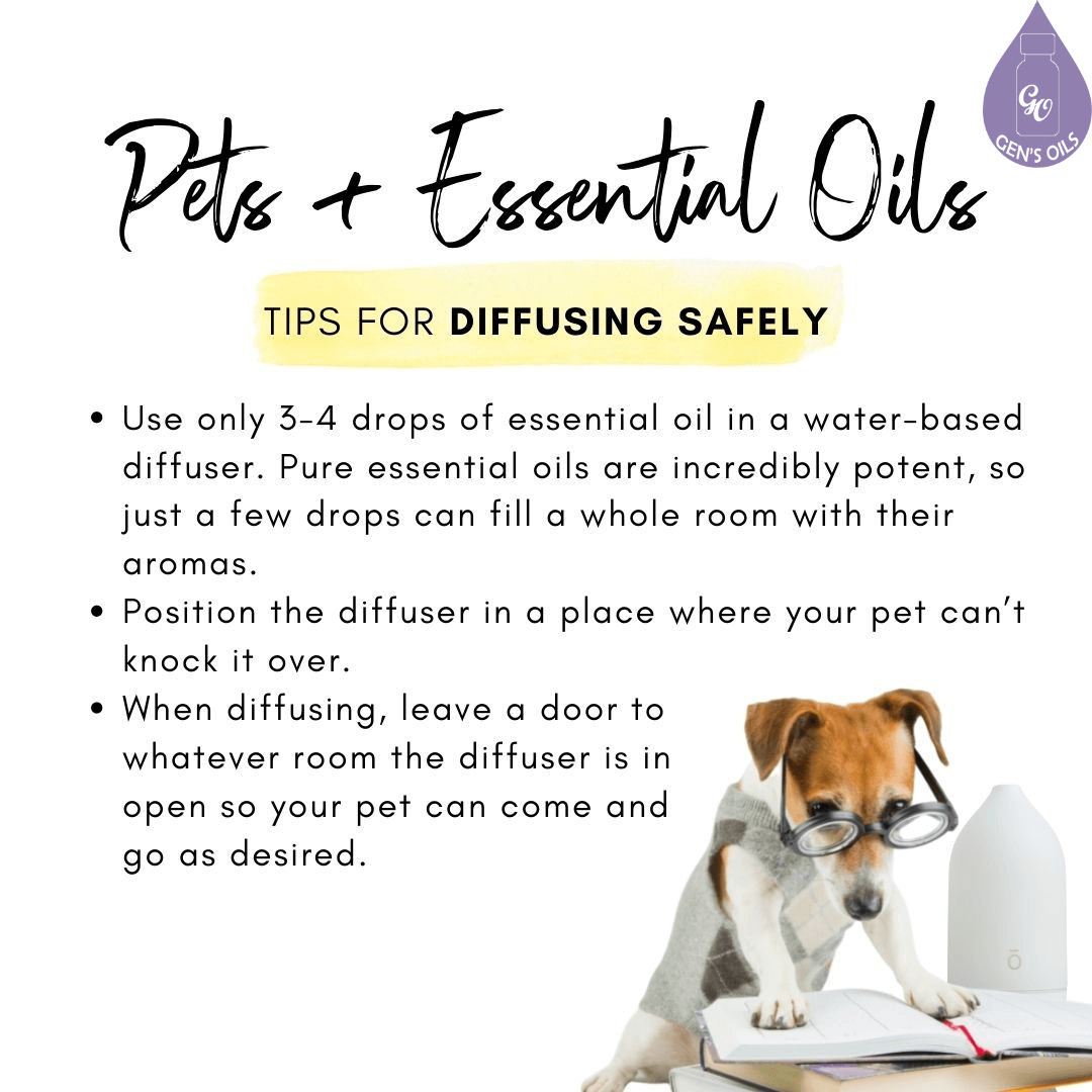 Pets & Essential Oils. Tips for Diffusing Safely