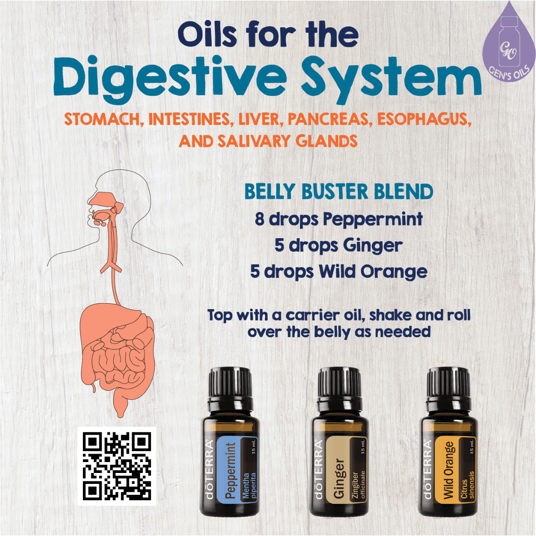 Oils for Digestive System with the Belly Buster blend & oils. The QR code opens a link to purchase these oils.