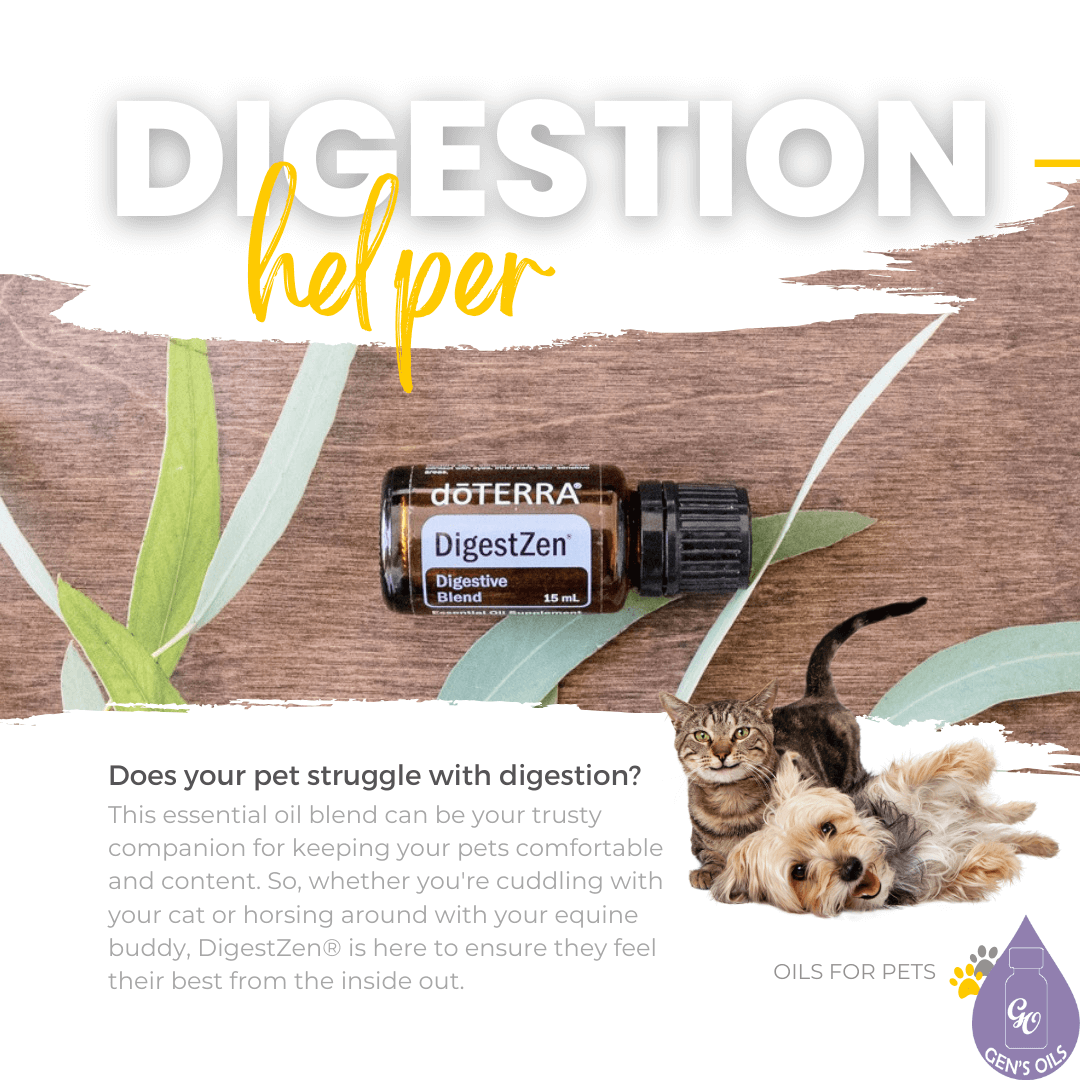 Digestion helper