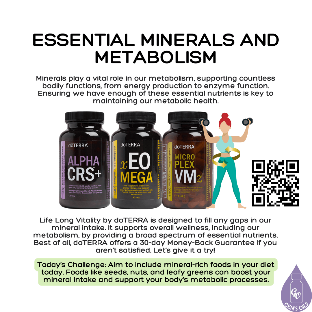 Essential Minerals & Metabolism with images of the three Life Long Vitality products. The QR code opens a link to purchase the Life Long Vitality pack.