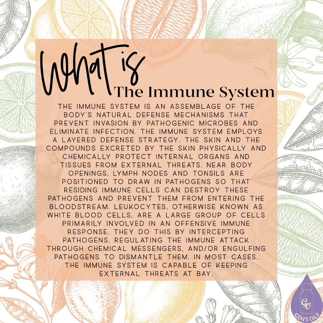 The image describes the immune system & is the same text is in this blog.