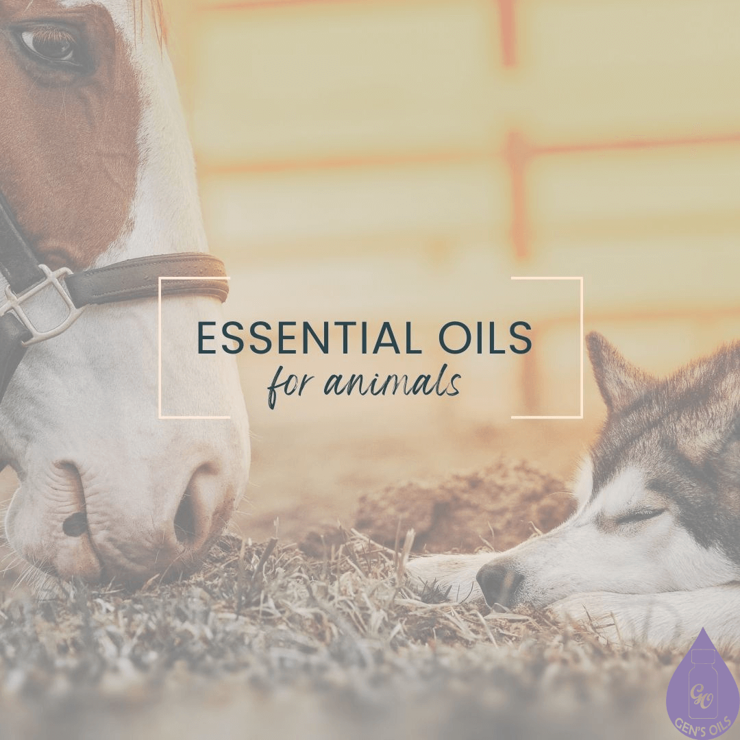 Essential Oils for Animals.