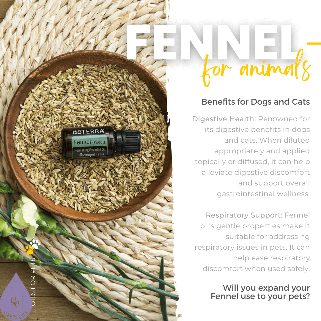 Fennel for animals