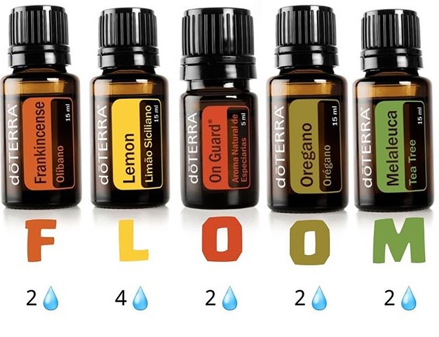 FLOOM - Frankincense, Lemon, On Guard, Oregano, Melaleuca