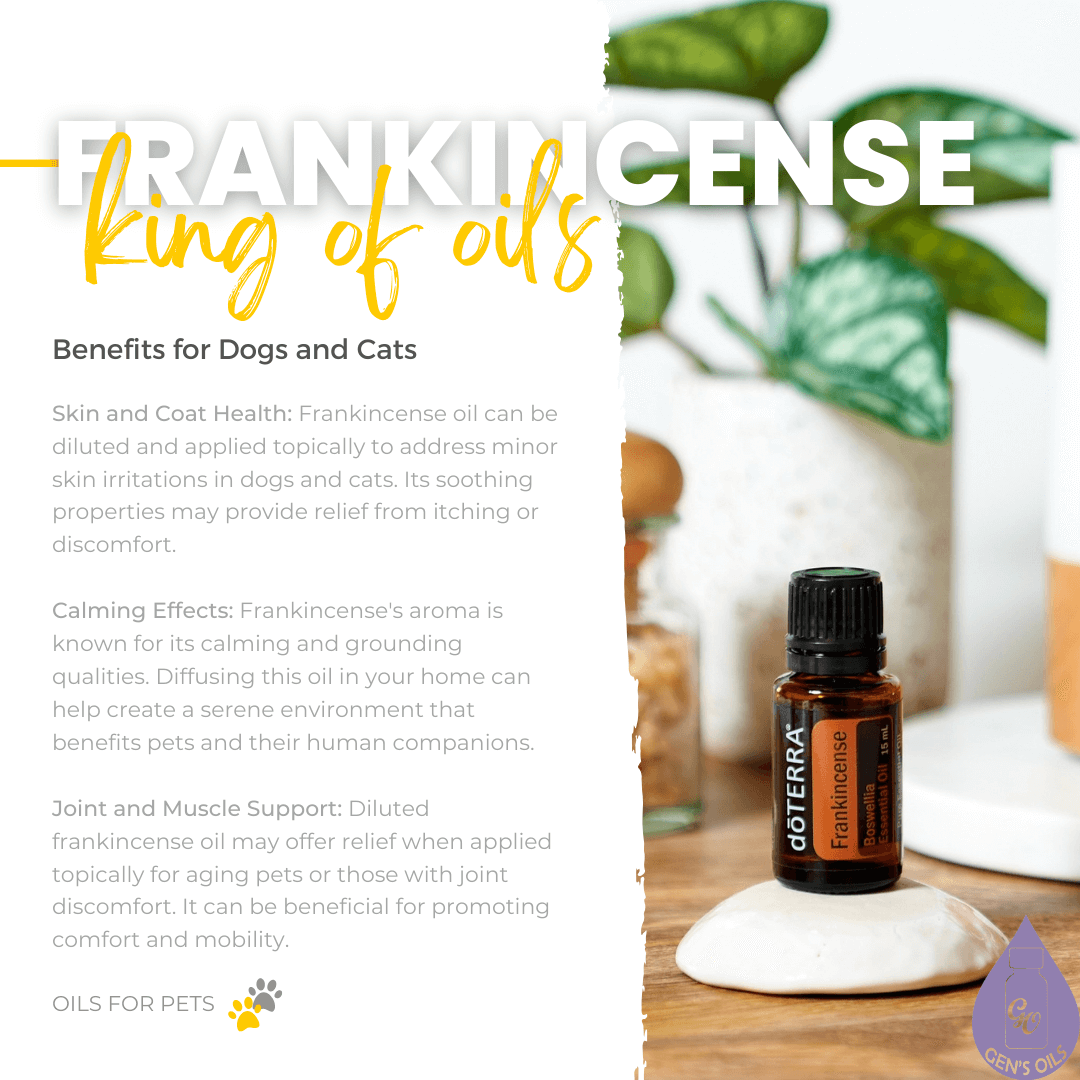 Frankincense - King of oils. Benefits for dogs & cats