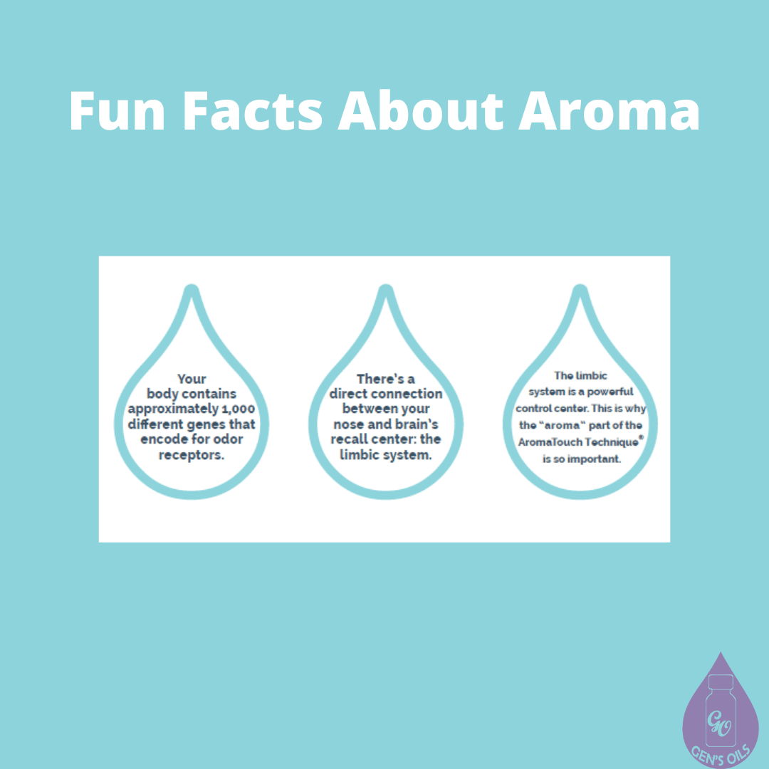 Fun facts about aroma