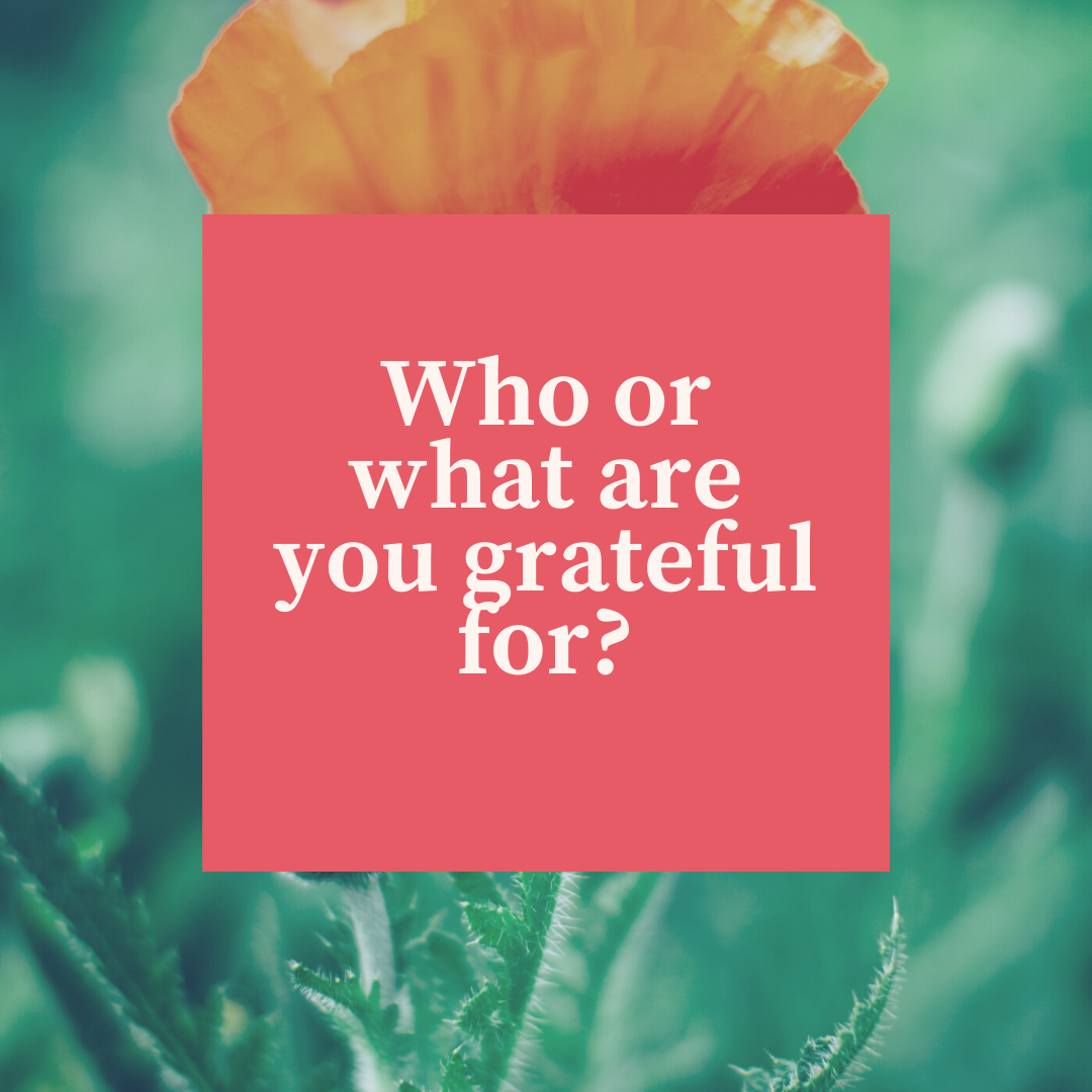 Who or what are you grateful for?