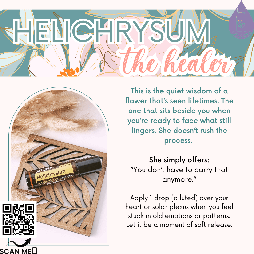 Helichrysn: The Healer. Scan the QR code to purchase Helichrysum Essential Oil.