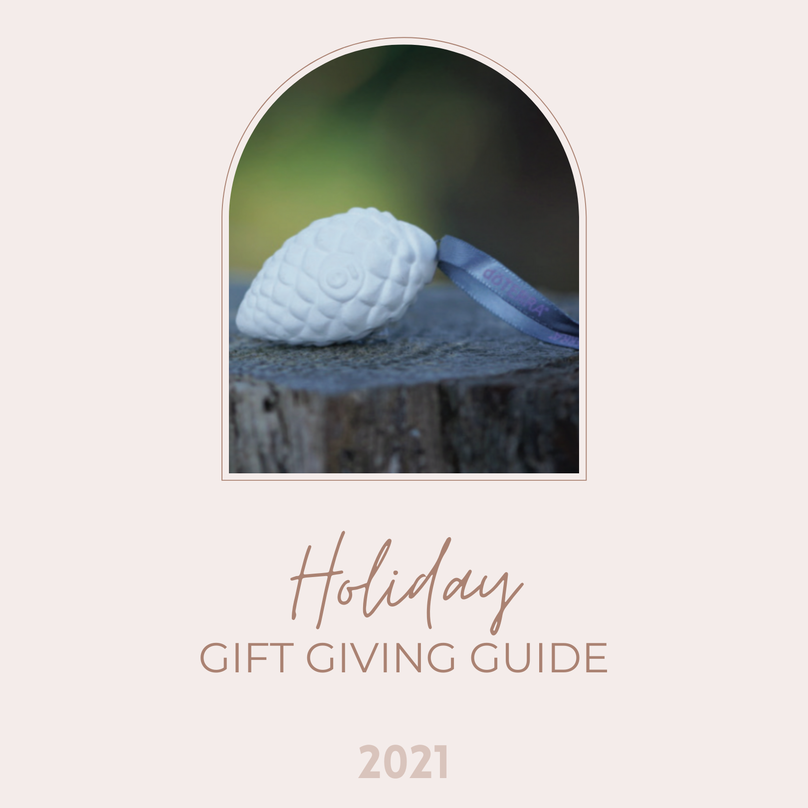 Holiday Gift Giving Guide 2021