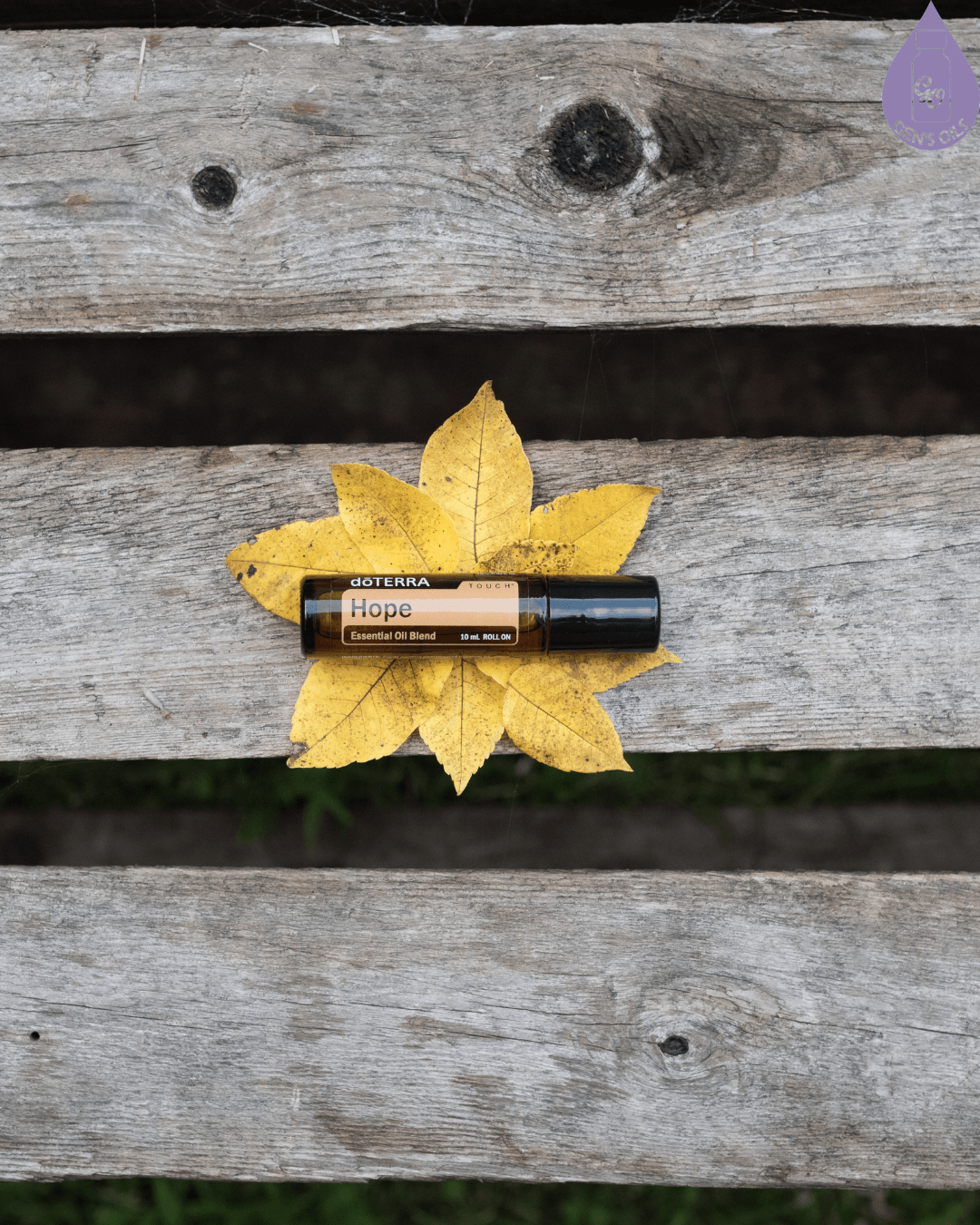 A roller bottle labeled "Hope" by doTERRA rests on a yellow fall leaf, which is centered on a rustic wooden surface.