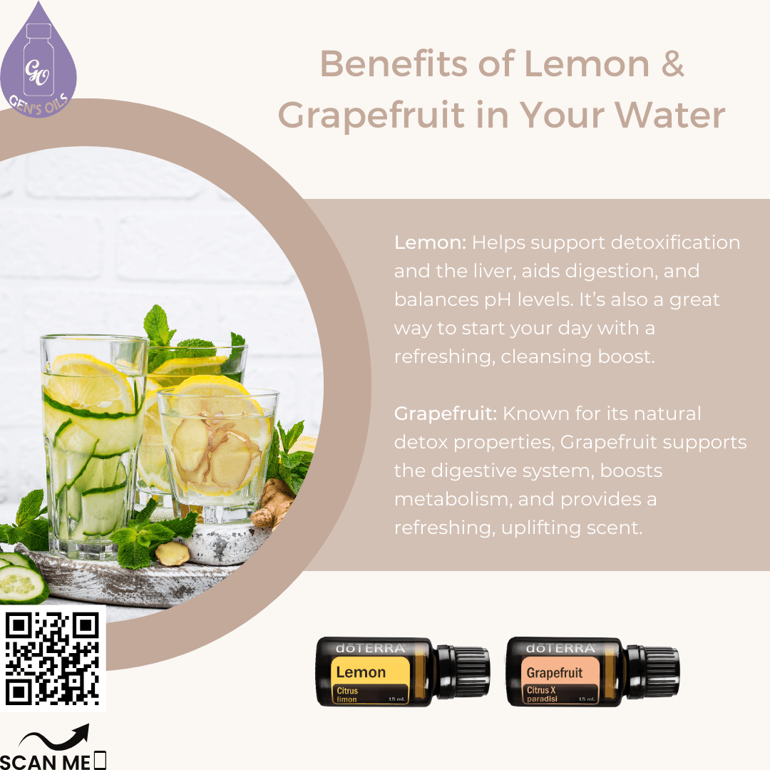 Glasses of water with slices of lemon & grapefruit + bottles of Lemon & Grapefruit essential oils. The QR code opens a link to purchase these oils.
