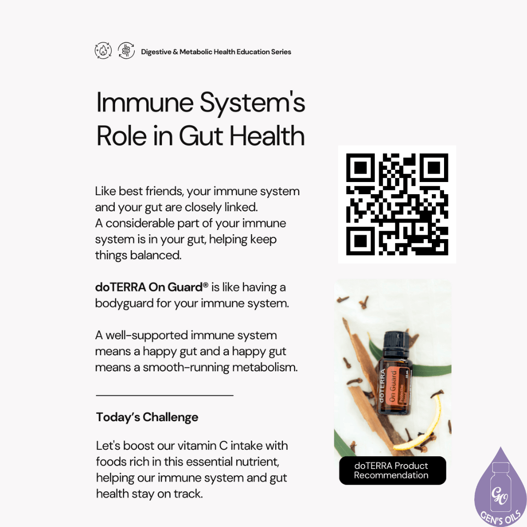 Immune System's Role in Gut Health with a bottle of On Guard essential oil. The QR code above the image opens a link to purchase an On Guard bundle of products.
