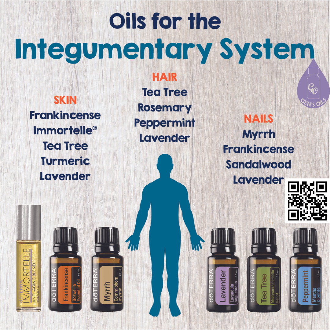 Oils for the Integumentary System with images of some of the oils suggested. The QR code opens a link to purchase a Skin, Hair, Nail bundle