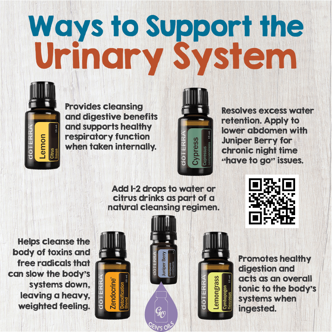 Ways to support the Urinary System with bottles of the essential oils mentioned in this post. The QR code opens a link to purchase these oils.