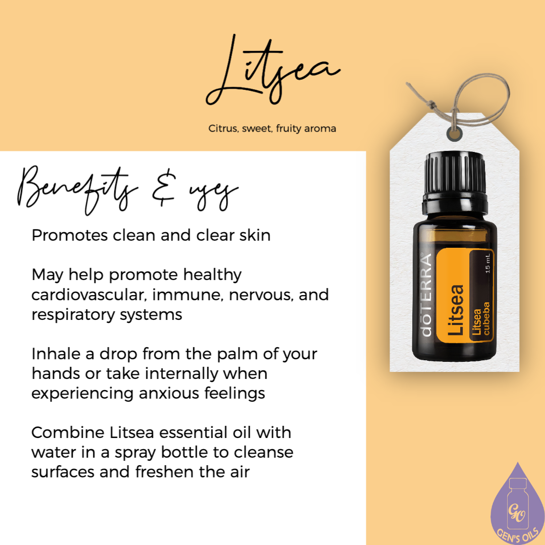 Litsea Uses & Benefits