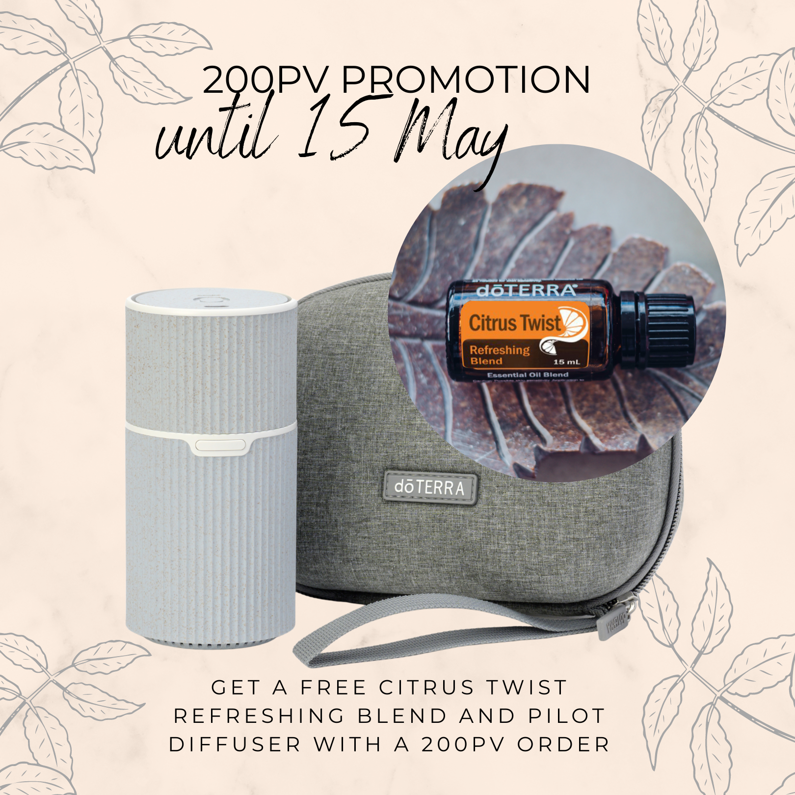 200PV Promotion. Pilot Diffuser & Citrus Twist