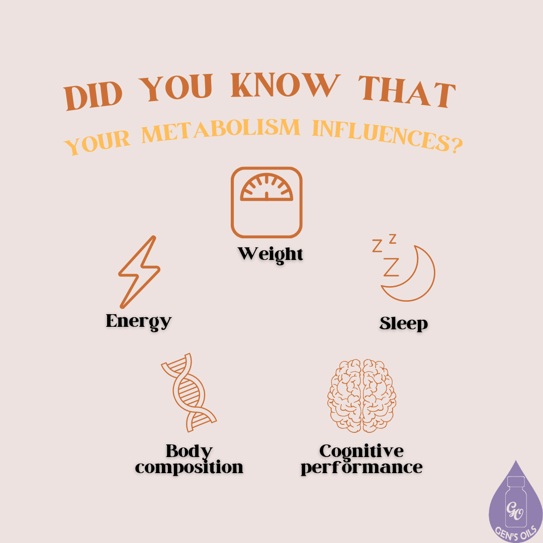 Did you know that your metabolism influences? Energy, Weight, Sleep, Cognitive performance, Body composition