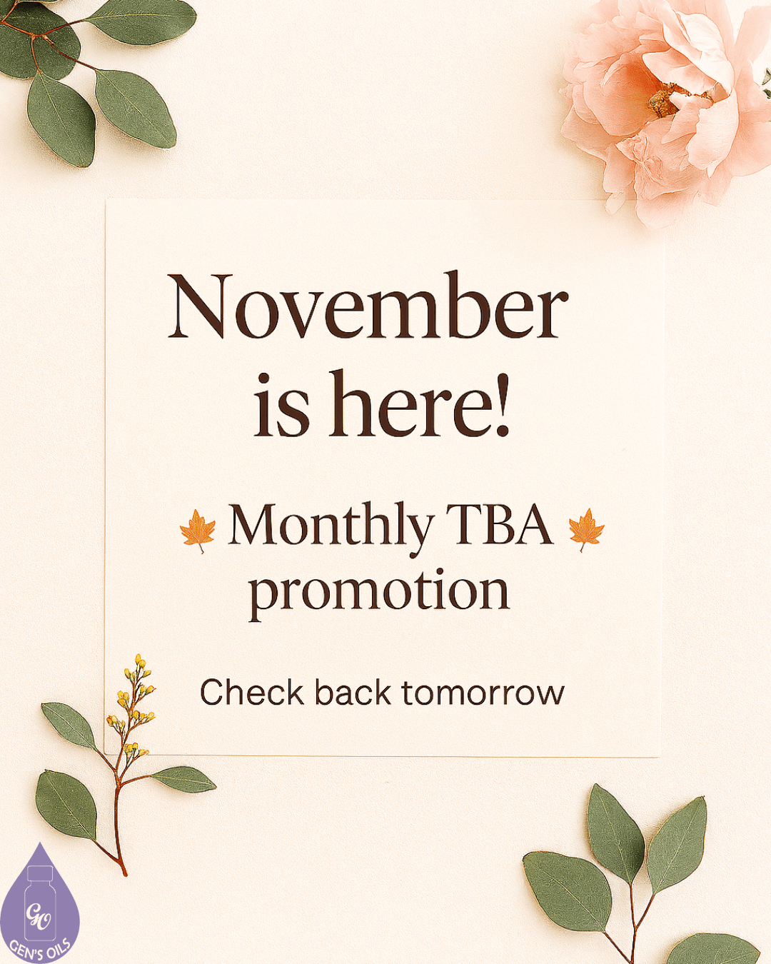Soft botanical accents, surround text that reads: ‘November is here! Monthly TBA promotion. Check back tomorrow.