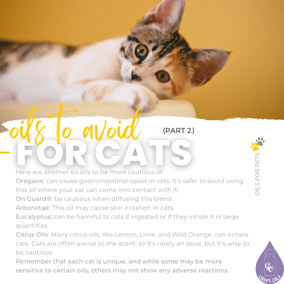 Oils to avoid for cats - Part 2