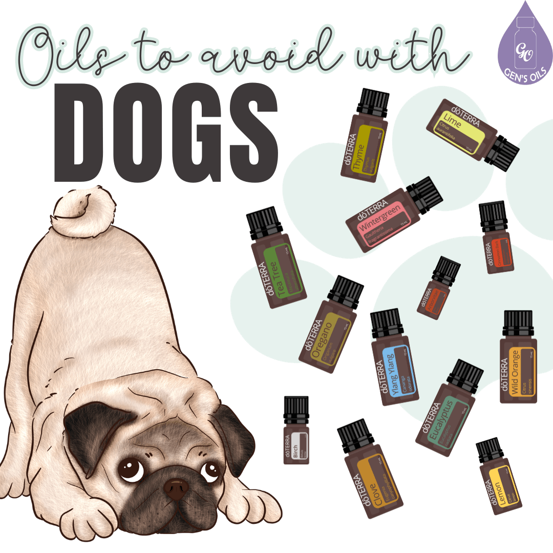Oils to Avoid with Dogs