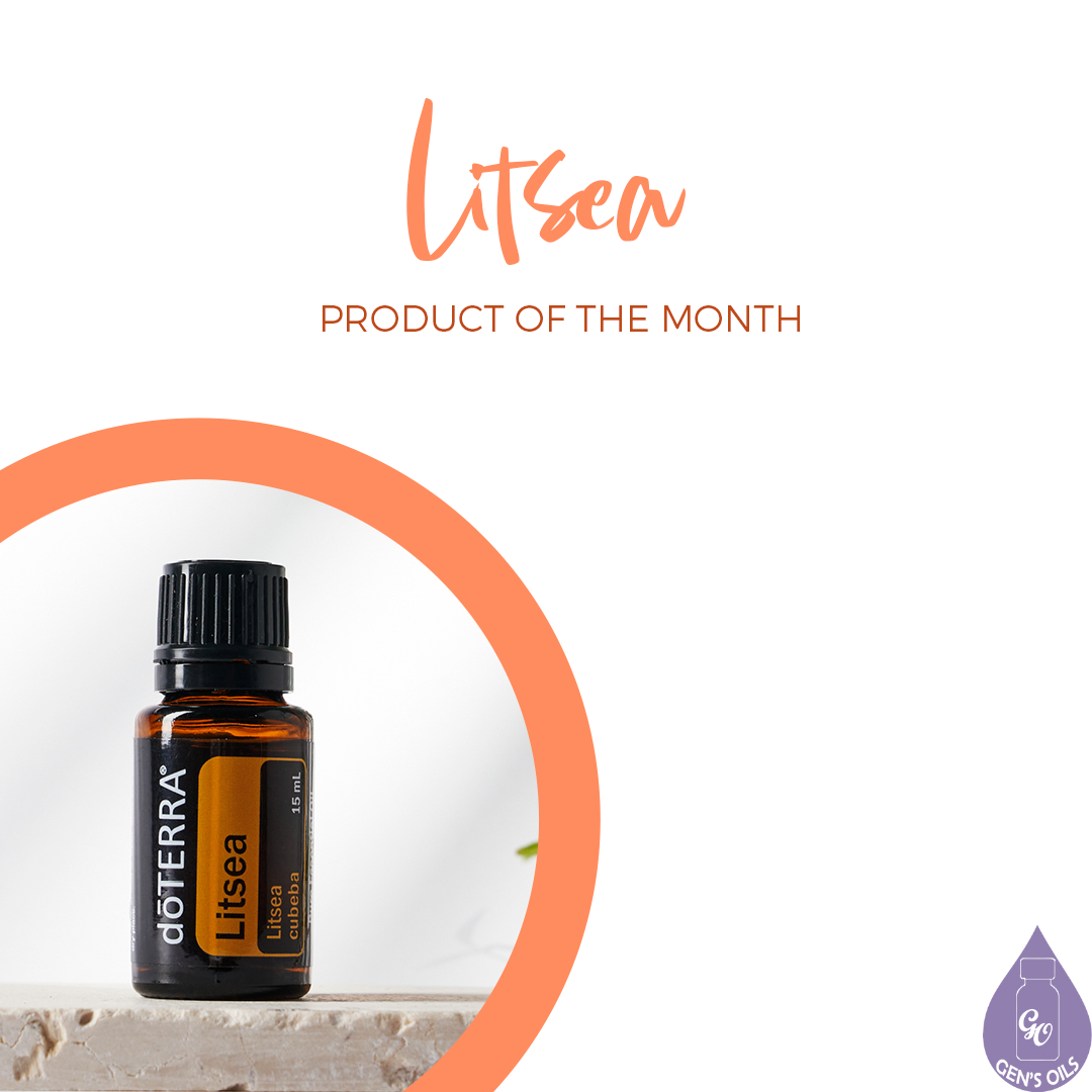 Litsea - Product of the month